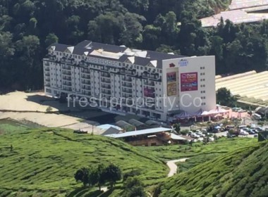 PEONY SQUARE CAMERON HIGHLANDS