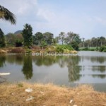 Gopeng 6 acres Land Perak 4