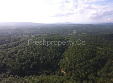 110 Acres Land
