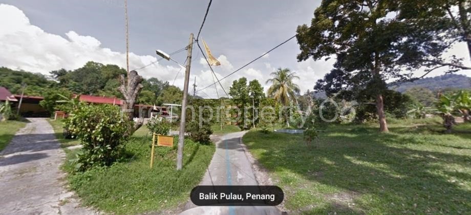 Balik Pulau Durian Orchard Penang Malaysia 1