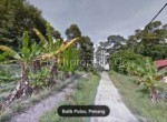 Balik Pulau Durian Orchard Penang Malaysia 5