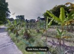 Balik Pulau Durian Orchard Penang Malaysia 6