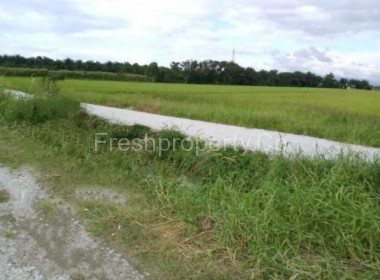 47aces Freehold Land