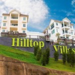Hilltop Villas @ Batu Ferringhi  1
