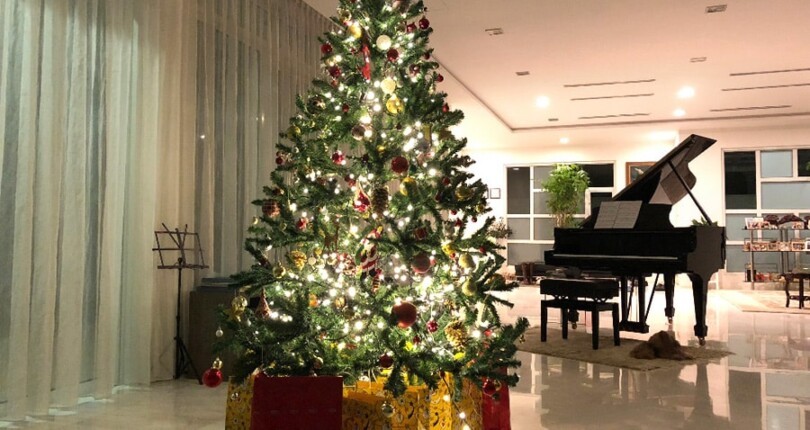 How to Place Your Christmas Tree for Good Feng Shui