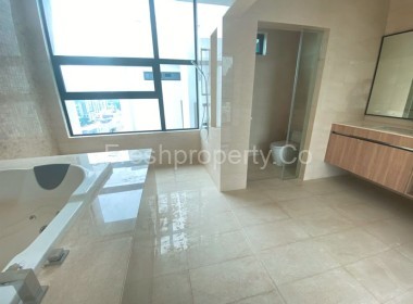10 Stonor Penthouse KL 4984sf (22)
