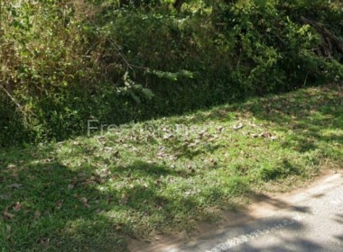 Agriculture Land For Sale Alor Gajah